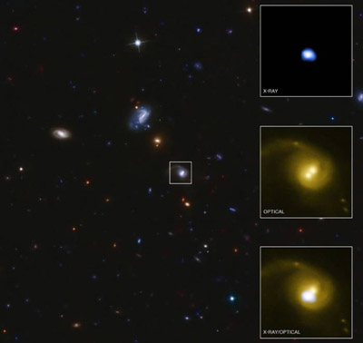 �� ������ ��������� CID-42 ���� ��������� �������������� ������ ����